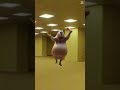 Capybara (Chicken wing Chicken wing song)