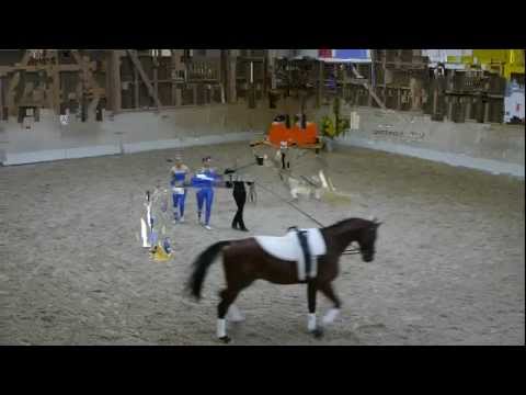 Laufen 2012 - Bätterkinden 1 - Kür - Kategorie C - Volti Turnier