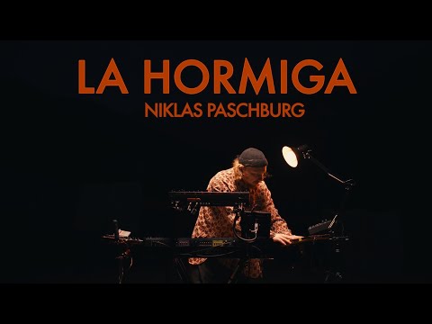 Niklas Paschburg - La Hormiga (Mountain live session)