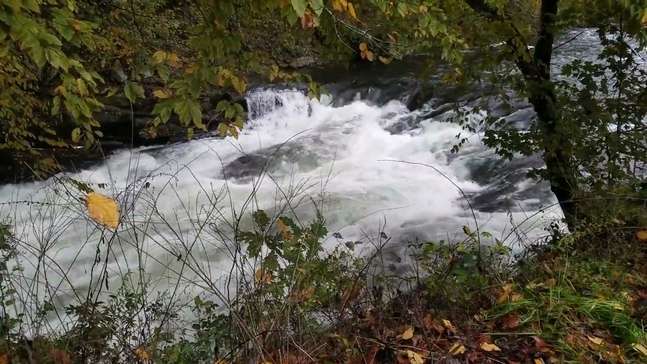 Wetland Delineation Class in Apex