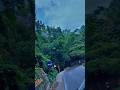 90s Ilayaraja Melody Hits Whatsappstatus Ilayarajamelodyhits Love Sad Song Tamil Ilayaraja