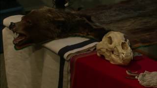 Lewis &amp; Clark vs Ursus Horribilis