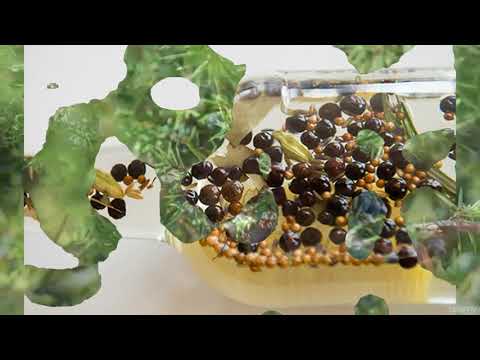 GIN - The essential guide for bartending & cocktails : GIN/COMPOUND GIN