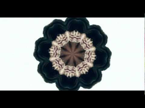 Helena Jesele / Let The Game Begin - Official Video