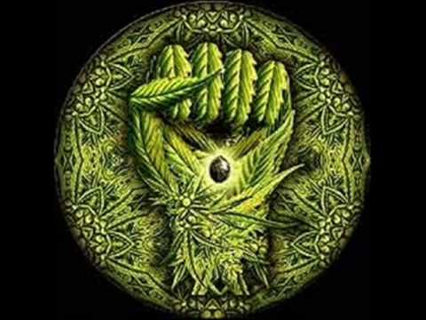 What If God Smoked Cannabis