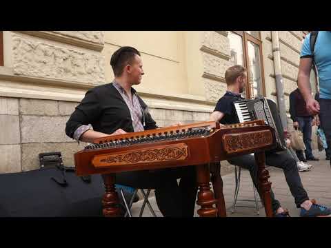 Chervona Ruta (Червона рута)