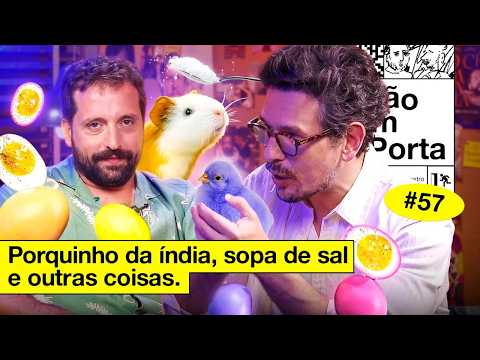 PORQUINHO DA ÍNDIA, SOPA DE SAL E OUTRAS COISAS  | NÃO IMPORTA #57