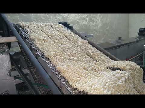 Instant Maggi Making Machine 300kg/Hr