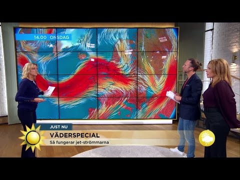 Väderspecial: "Nu blir det kallare" - Nyhetsmorgon (TV4)