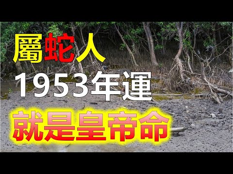 1953年五行屬什麼