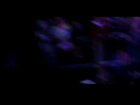 Dan Aux @ BW Campgrounds 30/12/09 (Deviance - Fellatio [Quintin Remix])