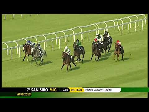 Premio Carlo Vittadini - Group 3