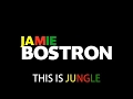 Jamie Bostron - This Is Jungle (Jungle. Dnb ...