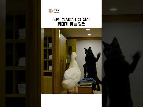 역사상 가장 찰진 싸대기장면