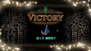 【Library Of Ruine】新米司書のおもてなし part47