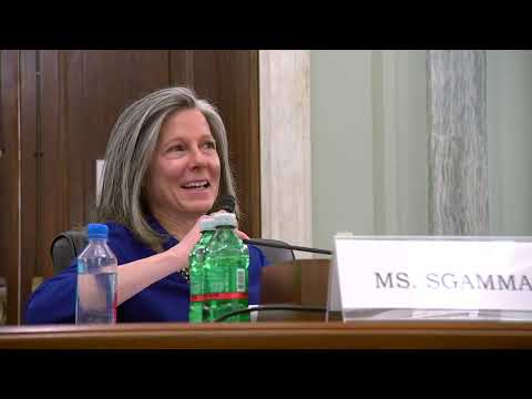 Sen%2E%20Dan%20Sullivan%20%28R%2DAlaska%29%20at%20a%20Commerce%20Committee%20hearing%20%2D%20April%205%2C%202022