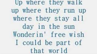 Miley Cyrus Part Of Your World