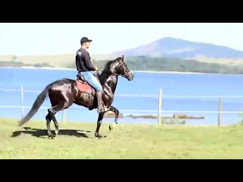 05   Galante do Recanto da Lagoa