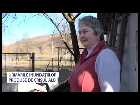 Urmările inundațiilor în Țara Zarandului - Stiri Antena Vest -