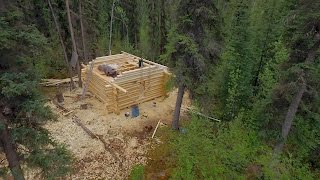 Will This Frontiersman Finish Building His Cabin Before The Snow Flies