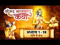 सम्पूर्ण गीता सार 3 घंटे में Shrimad Bhagwat Geeta Saar 