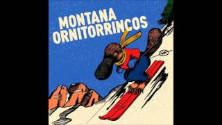 Montana - Cervello (I Fichissimi cover)