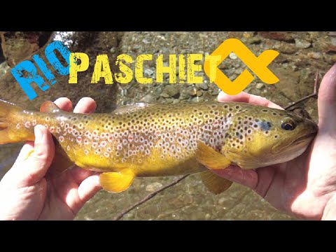 Valleys of Lanzo!! Reserve of Rio Paschiet!🌲Looking for Big brown trouts!!🇮🇹4K