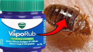 Surprising Home Remedy: Get Rid of Bedbugs with Vicks Vaporub