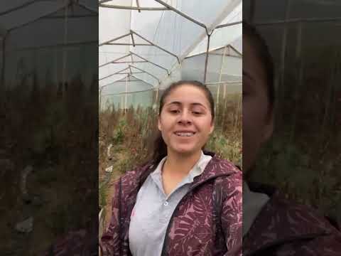 BIORREMEDIACION en suelos contaminados sutamarchan Boyacá UNAD