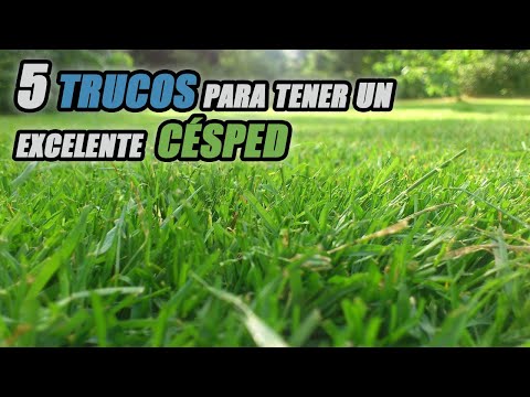 , title : '5 TRUCOS PARA TENER UN EXCELENTE CÉSPED'