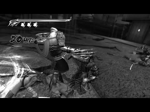 NGS2 BLACK: Progress Record 02 (Falcon's Talons)