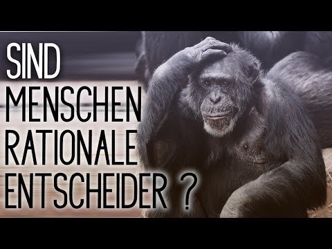 Prospect Theory (auch Neue Erwartungstheorie)