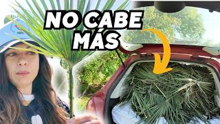 No sabia donde meter todo esto... Menudo día en la finca. Vlog287