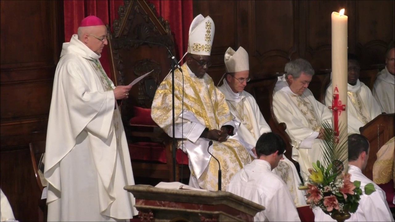 Cardinal Robert Sarah, Messe à la cathédrale de Perpignan, 6 mai 2017