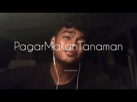 Pagar Makan Tanaman - By Akhmal Daniel (Kechik)