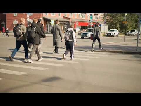 What Sparked Prince William's Traffic Safety Action Plan?