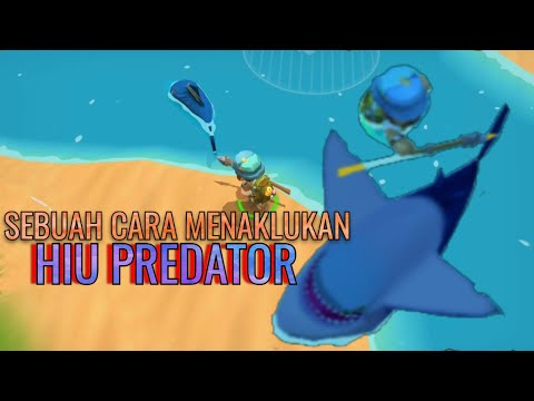 Tatacara menjinakkan Hiu Predator di lautan - Epic Raft Indonesia Day