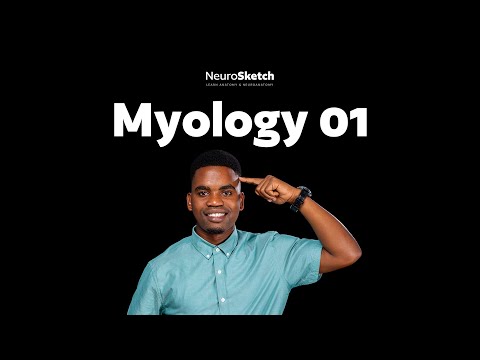 Myology part 1: Introduction to Myology, Muscle Types, Structure & Contraction Explained
