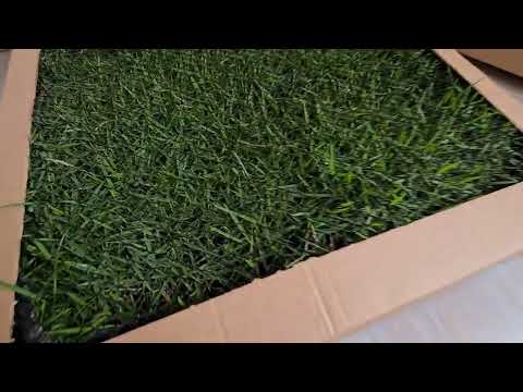 Tapete de Grama Natural com proteção para pets sapecas.