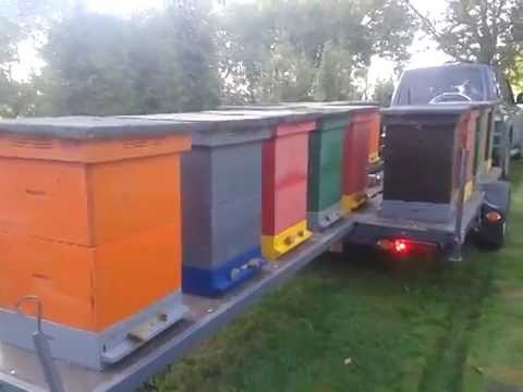 laweta do przewozu uli