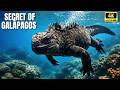 Galápagos The Secret Sanctuary Of Marine Life That Defies Time Documentary