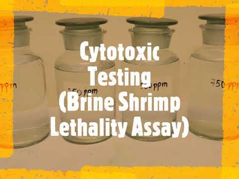 Antioxidant, Cytotoxic and Antimicrobial Cream Using Ogdok Pisodonophis boro Liver Ethanolic Extract