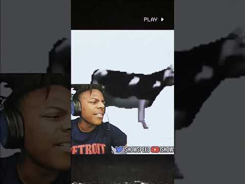 ISHOWSPEED REACTS TO POLISH COW😂😹