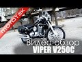 Видео обзор нового мотоцикла (чоппер) VIPER V250C Mototek 