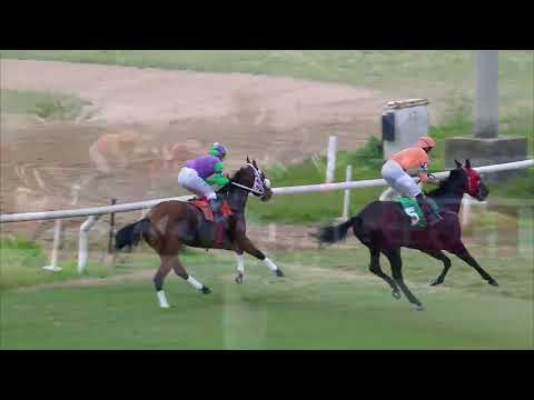 230709 c06 H. Yerba Amarga/ LINDA DAMA