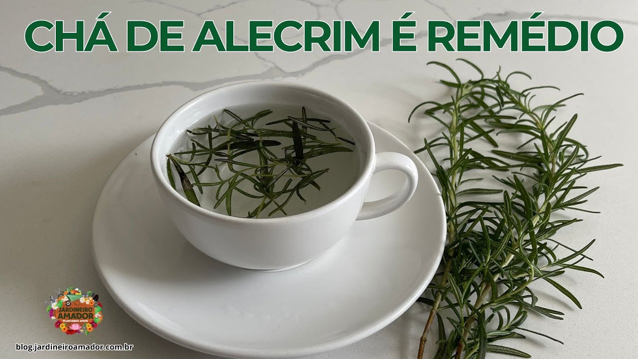 Conheça os poderes medicinais do chá de alecrim ou rosmarino