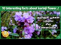 10 Interesting Facts About Kurinji Flower குருங்கின் பூல் Tamil BioWorld
