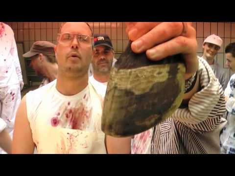 Kölner Stadtmusikanten - Fleisch & Blut