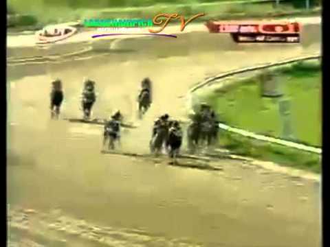 VALENCIA 6 CARRERA VIERNES 19 DE SEPTIEMBRE DEL 2014