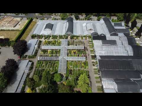 Flower World Fly Over Video